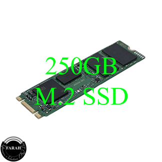 250GB M.2 SSD